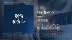 别怕我伤心吉他谱C调 刘家奇阿 简单版