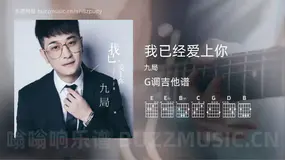 我已经爱上你 九局 吉他谱G调简单版