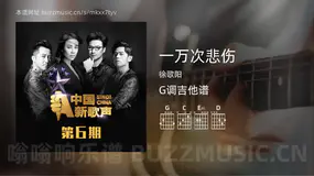 一万次悲伤 徐歌阳 吉他谱G调简单版