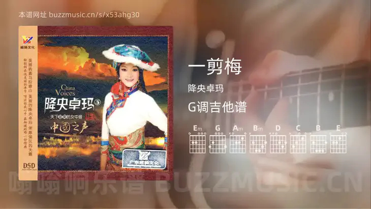 一剪梅 降央卓玛 吉他谱G调简单版
