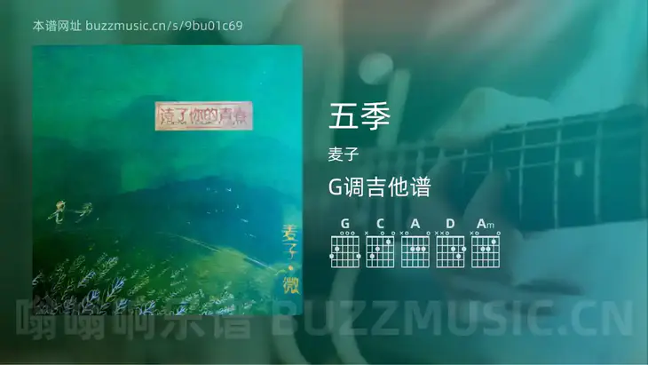 五季 麦子 吉他谱G调简单版