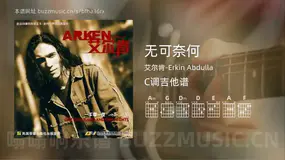 无可奈何 艾尔肯-Erkin Abdulla 吉他谱C调简单版
