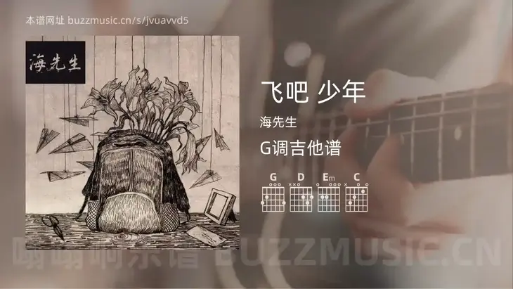 飞吧 少年 海先生 吉他谱G调简单版