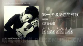 第一次遇见你的时候 谢雨维 吉他谱C调简单版