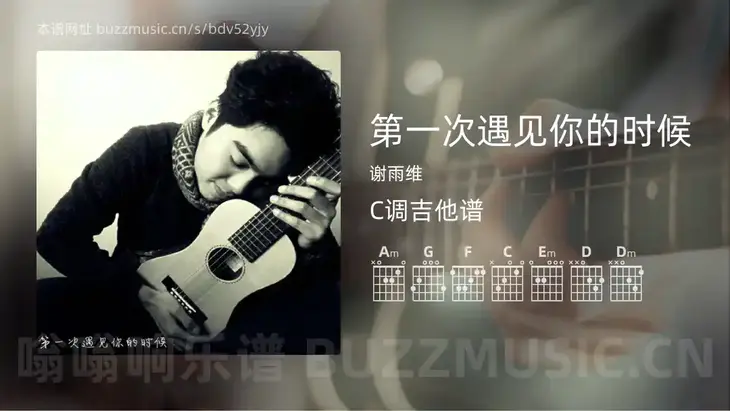 第一次遇见你的时候 谢雨维 吉他谱C调简单版