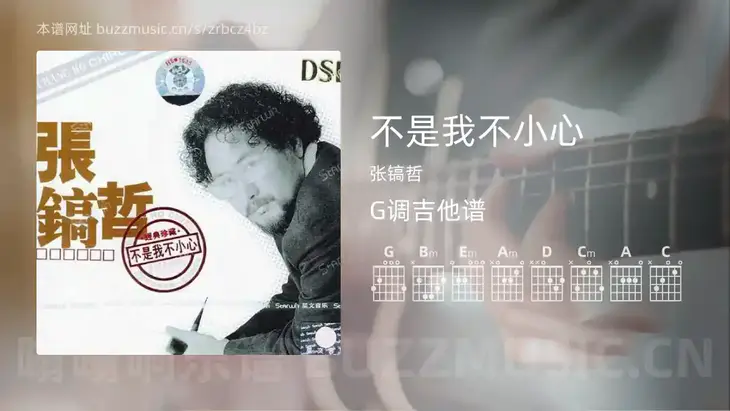 不是我不小心 张镐哲 吉他谱G调简单版