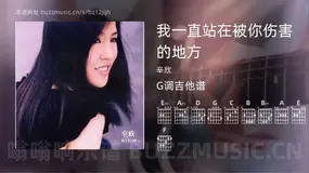 我一直站在被你伤害的地方吉他谱G调 辛欣 简单版