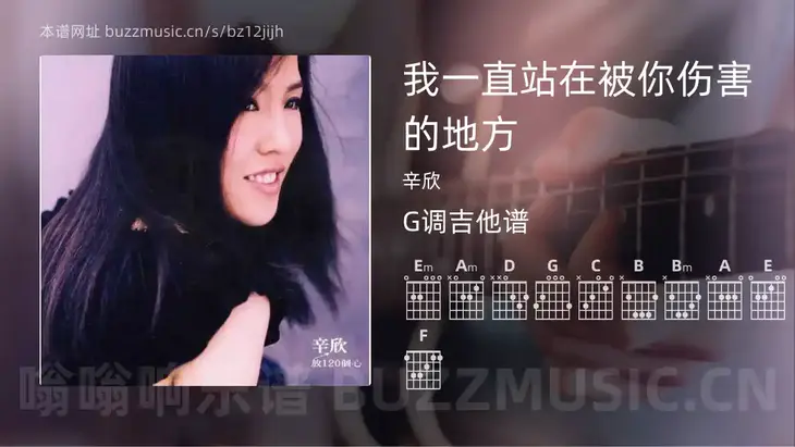 我一直站在被你伤害的地方吉他谱G调 辛欣 简单版