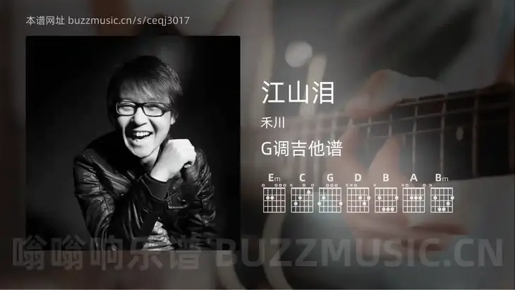江山泪吉他谱G调 禾川 简单版
