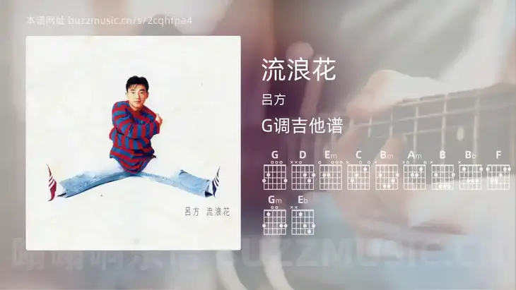 流浪花 吕方 吉他谱G调简单版
