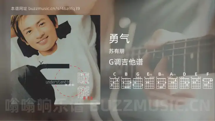 勇气 苏有朋 吉他谱G调简单版