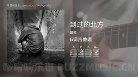 到过的北方 暗杠 吉他谱G调简单版