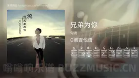 兄弟为你 何流 吉他谱G调简单版