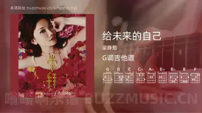给未来的自己 梁静茹 吉他谱G调简单版