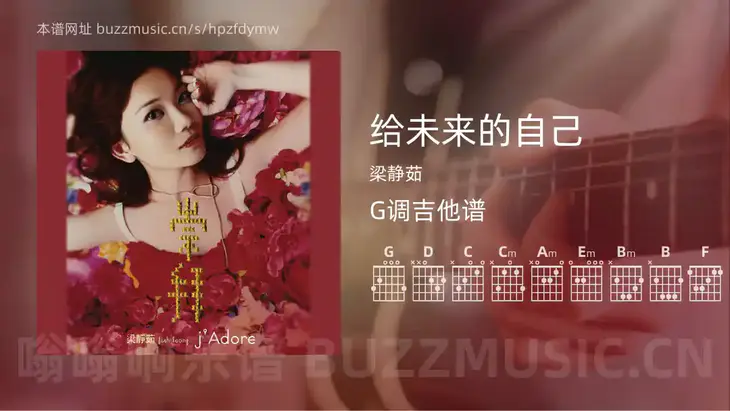给未来的自己 梁静茹 吉他谱G调简单版