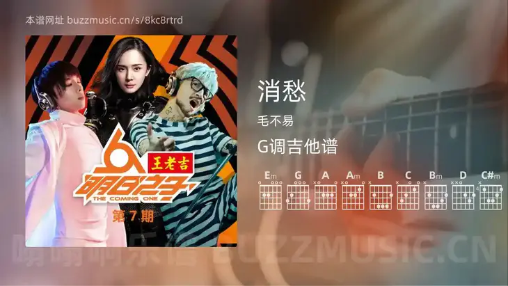 消愁吉他谱G调 毛不易 简单版
