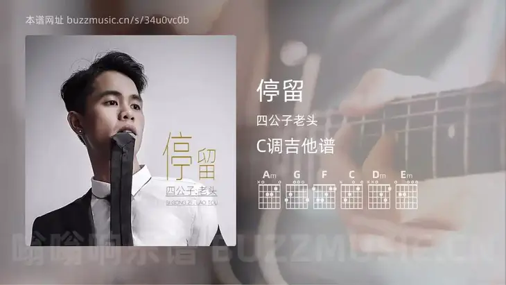 停留 四公子老头 吉他谱C调简单版