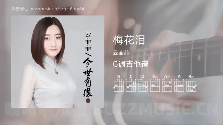 梅花泪 云菲菲 吉他谱G调简单版
