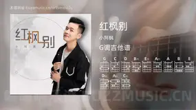 红枫别吉他谱G调 小阿枫 简单版