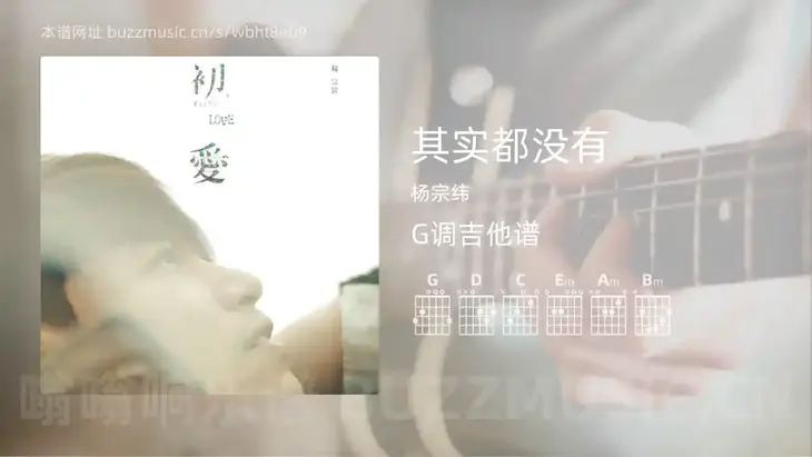 其实都没有 杨宗纬 吉他谱G调简单版