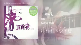 丁香花 唐磊 吉他谱G调简单版