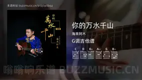 你的万水千山 海来阿木 吉他谱G调简单版