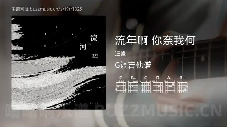 流年啊 你奈我何 汪峰 吉他谱G调简单版
