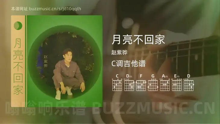 月亮不回家吉他谱C调 赵紫骅 简单版