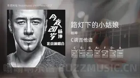 路灯下的小姑娘 杨坤 吉他谱C调简单版