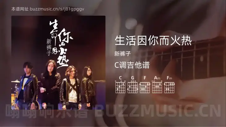 生活因你而火热 新裤子 吉他谱C调简单版