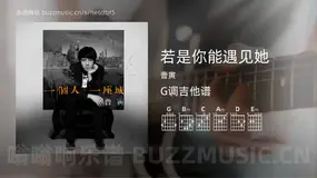 若是你能遇见她 曹寅 吉他谱G调简单版