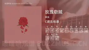 玫瑰窃贼 柳爽 吉他谱C调简单版