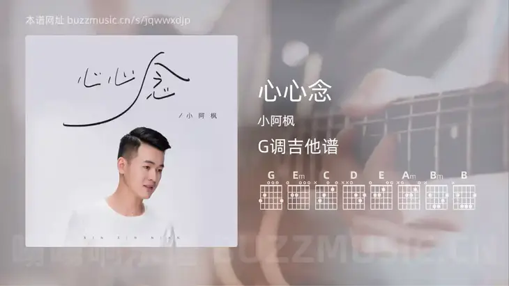心心念 小阿枫 吉他谱G调简单版