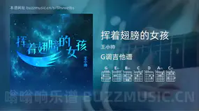 挥着翅膀的女孩 王小帅 吉他谱G调简单版