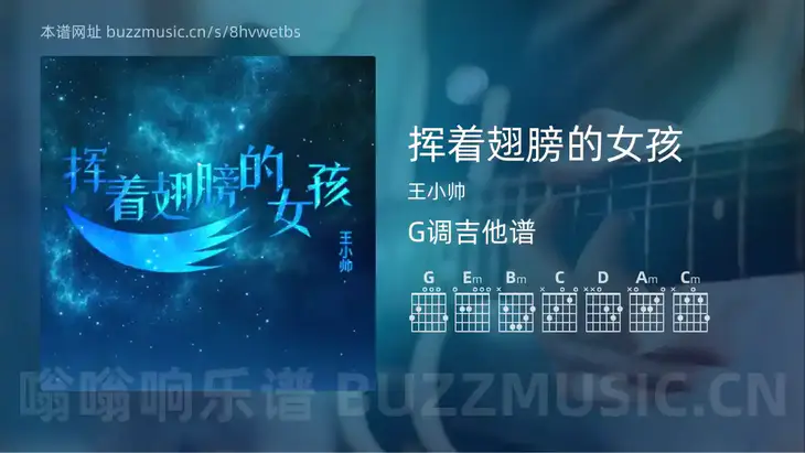 挥着翅膀的女孩 王小帅 吉他谱G调简单版