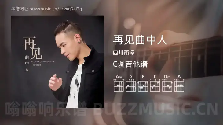 再见曲中人 四川雨泽 吉他谱C调简单版