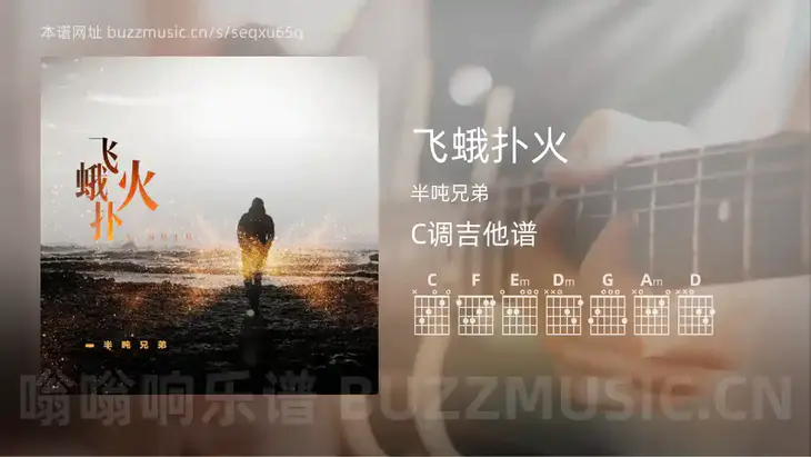 飞蛾扑火 半吨兄弟 吉他谱C调简单版