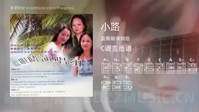 小路 蓝眼睛演唱组 吉他谱C调简单版