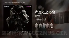 命运还是巧合吉他谱G调 谢天笑 简单版