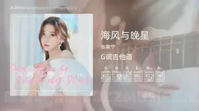 海风与晚星 张紫宁 吉他谱G调简单版