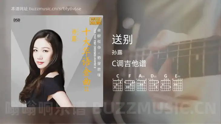 送别 孙露 吉他谱C调简单版