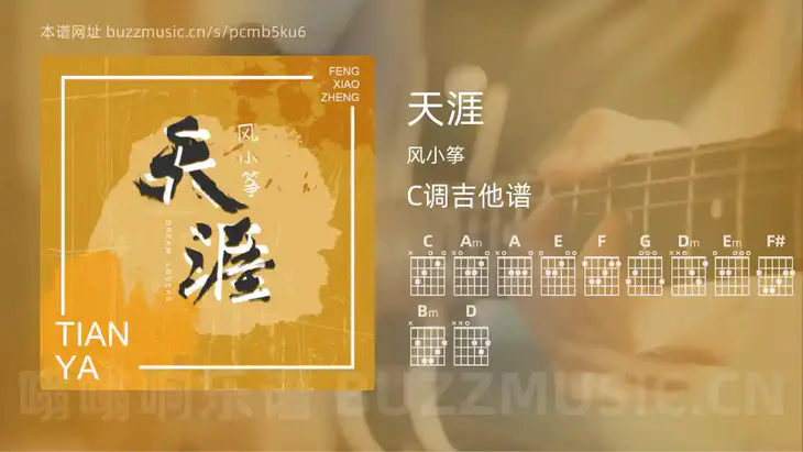 天涯 风小筝 吉他谱C调简单版