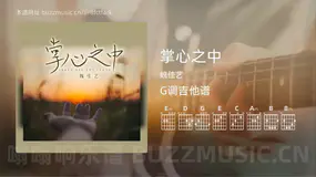 掌心之中吉他谱G调 魏佳艺 简单版
