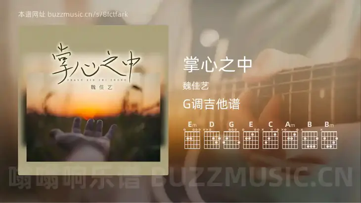 掌心之中吉他谱G调 魏佳艺 简单版