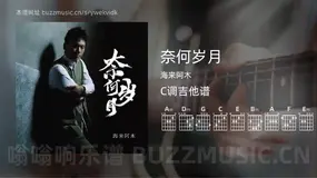 奈何岁月 海来阿木 吉他谱C调简单版