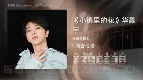 《小镇里的花》华晨宇吉他谱C调 宝藏挖掘机 简单版