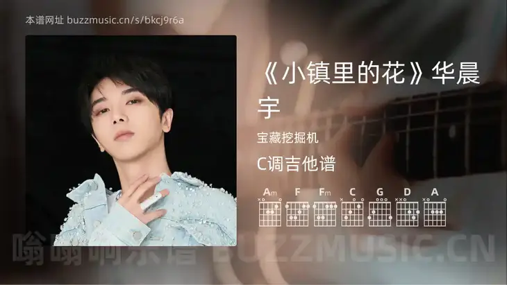 《小镇里的花》华晨宇吉他谱C调 宝藏挖掘机 简单版