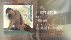往事只能回味吉他谱G调 韩宝仪 简单版