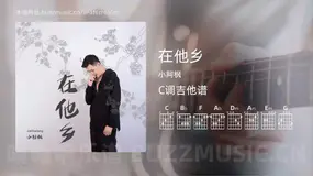 在他乡 小阿枫 吉他谱C调简单版