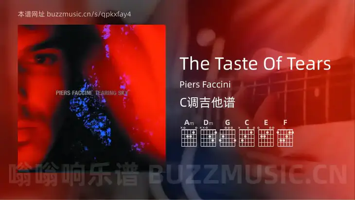 The Taste Of Tears Piers Faccini 吉他谱C调简单版